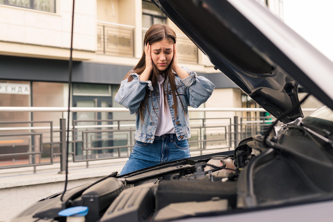 Comprar um carro usado: lista de verificação universal (evitar fraudes)